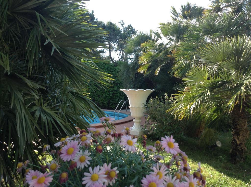 Maremonti Hotel 4*
